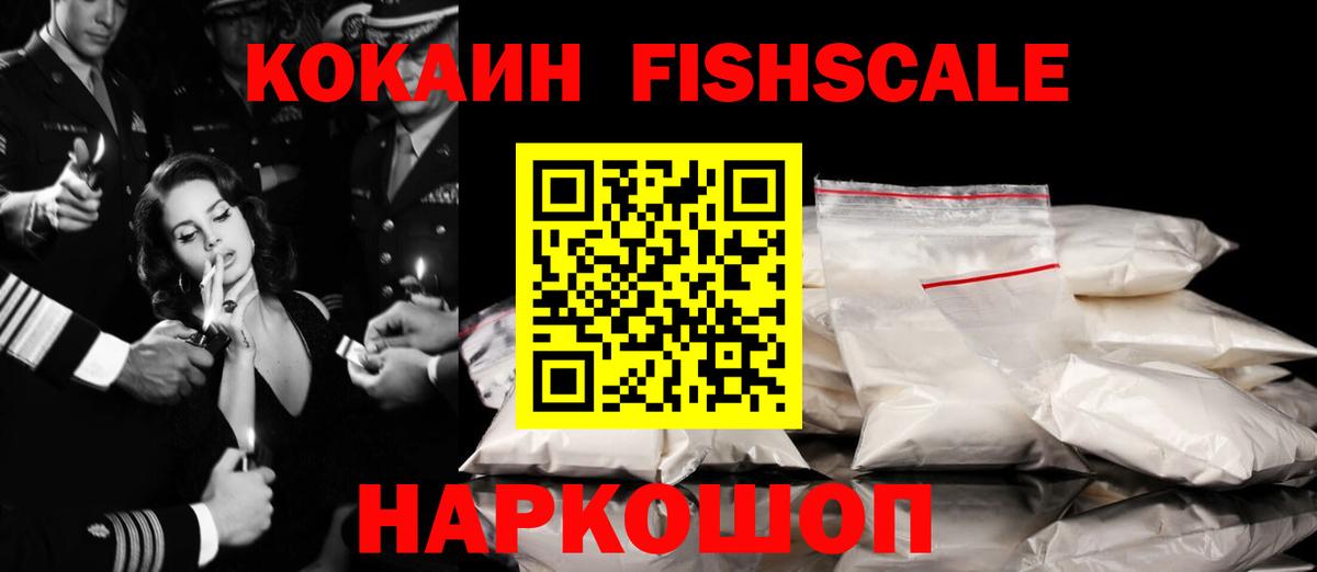 COCAIN Fish Scale  закладка  Северобайкальск  Вход с VPN 